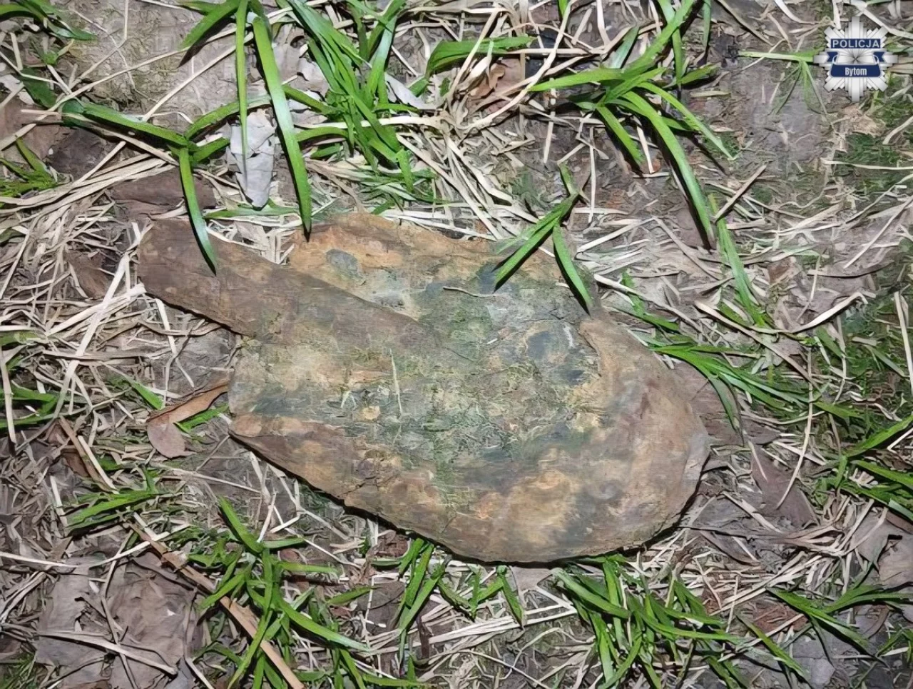 Niebezpieczne znalezisko w Miechowicach: policja zabezpiecza artyleryjski pocisk z czasów II wojny światowej / fot.: KPP Bytom