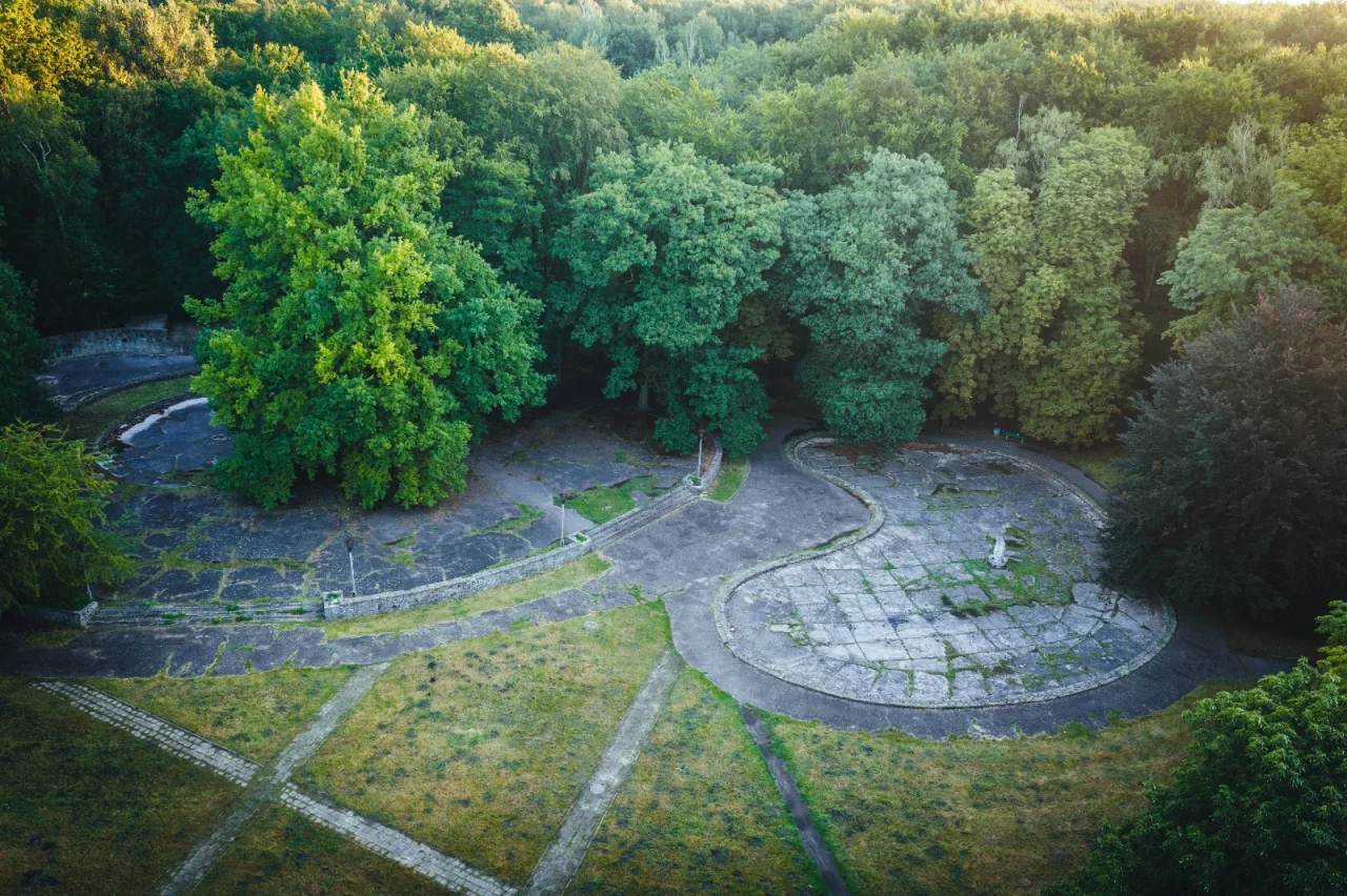Las Komunalny przy ul. Chorzowskiej w Gliwicach / fot.: Mosquidron oraz UM Gliwice