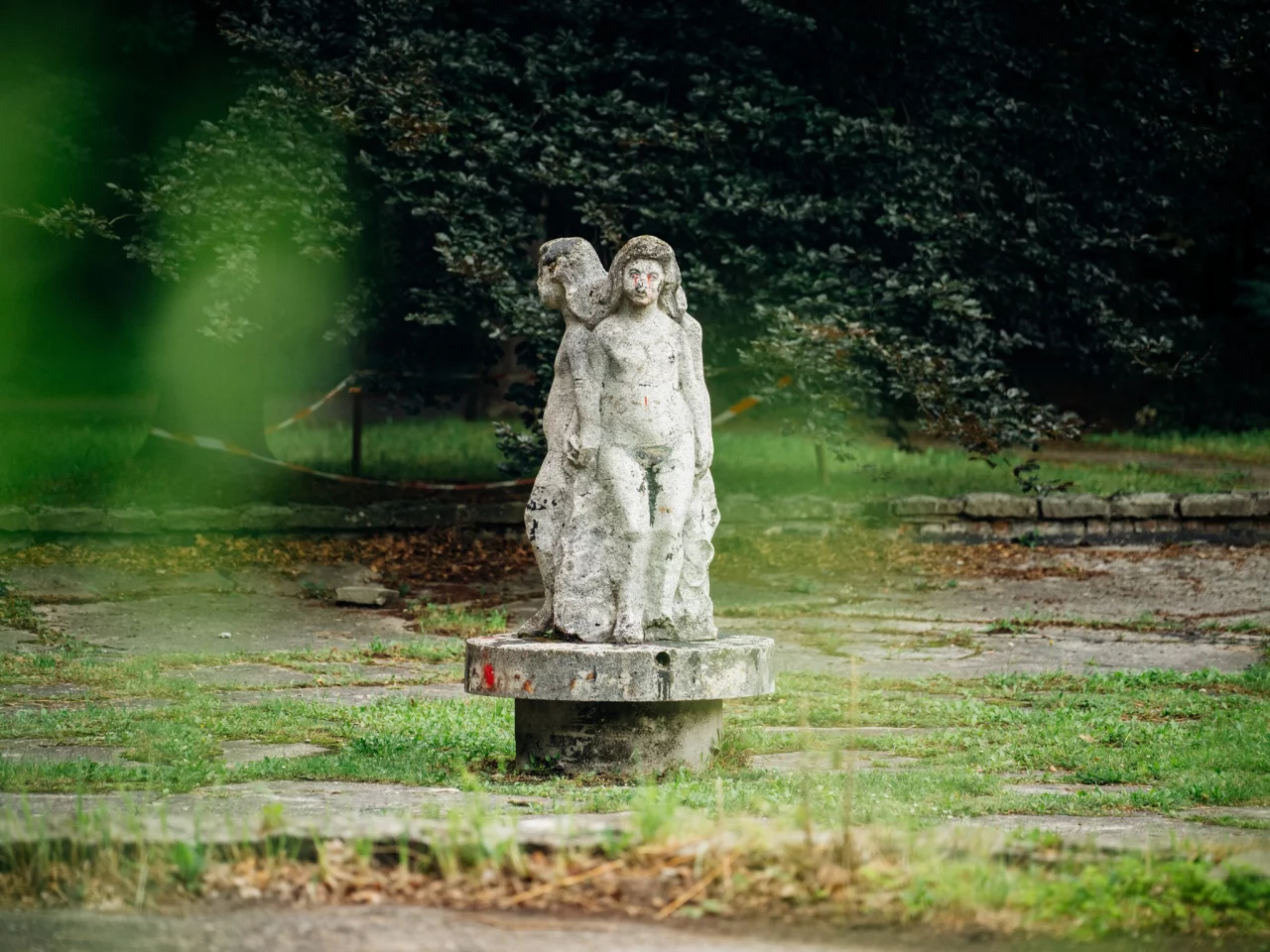 Las Komunalny przy ul. Chorzowskiej w Gliwicach odzyska swój blask