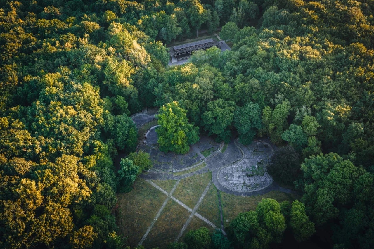 Las Komunalny przy ul. Chorzowskiej w Gliwicach / fot.: Mosquidron oraz UM Gliwice