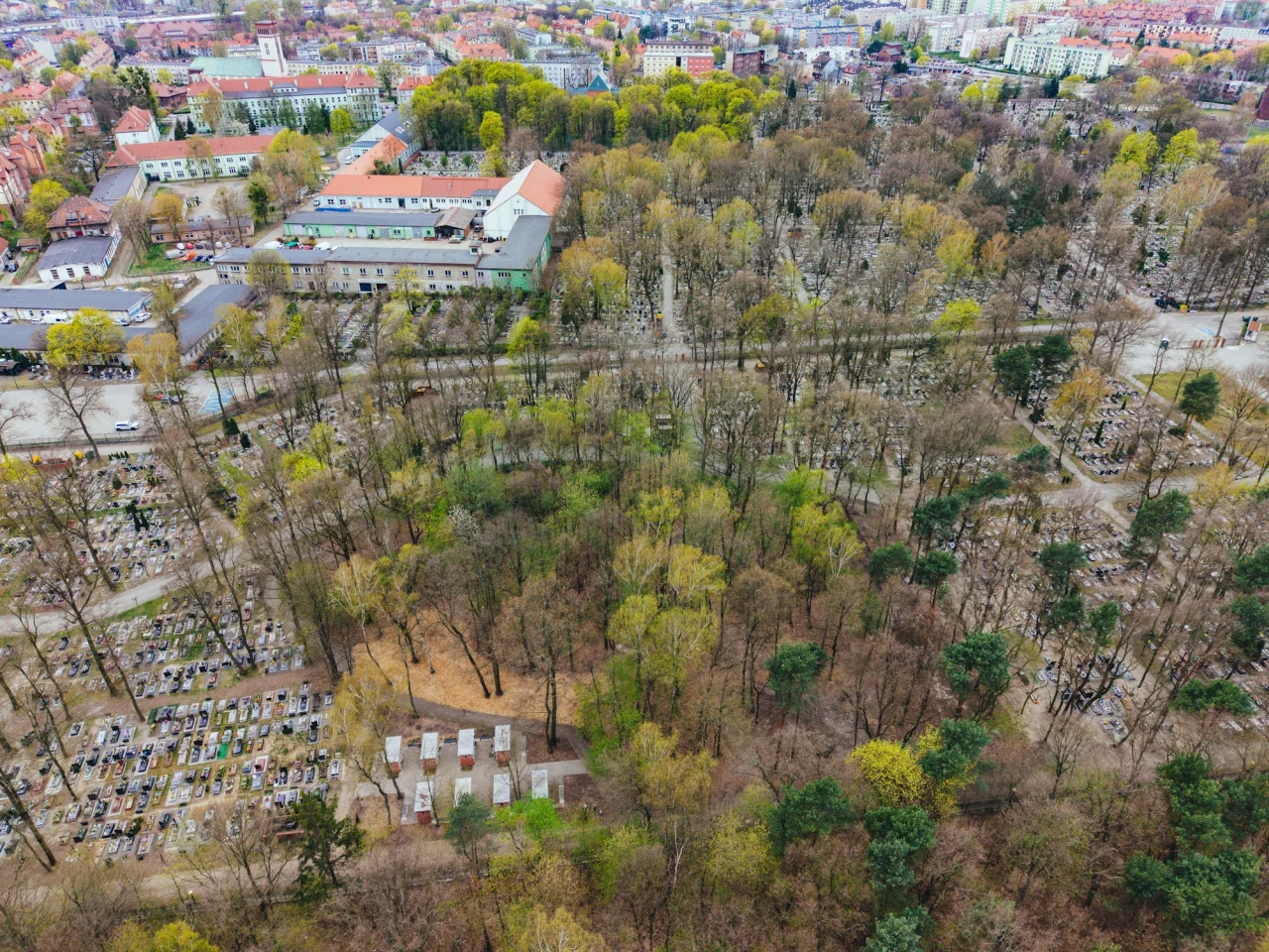 Cmentarz Lipowy w Gliwicach: historia, architektura i znaczenie kulturowe