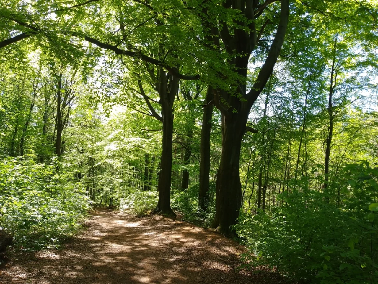 Śladami dawnych ośrodków wydobycia galeny, dolomitu i żelaza / fot.: Archiwum Urzędu Miejskiego w Bytomiu - Hubert Klimek/Tomasz Sanecki/Grzegorz Goik